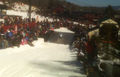 Dana_Pond_Skim_2.jpg