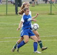 d_vs_steinert3.jpg