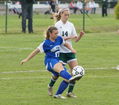 d_vs_steinert4.jpg
