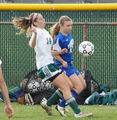 d_vs_steinert5.jpg