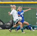 d_vs_steinert6.jpg